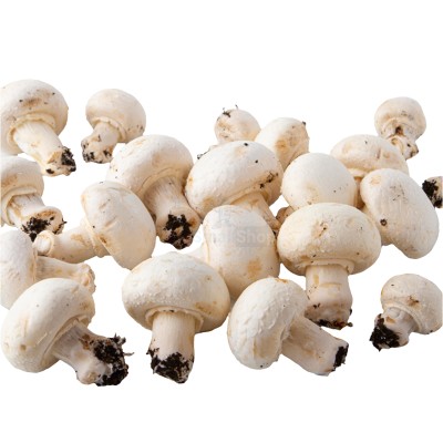 Шампиньоны свежие 500 г - купить в Кизляре